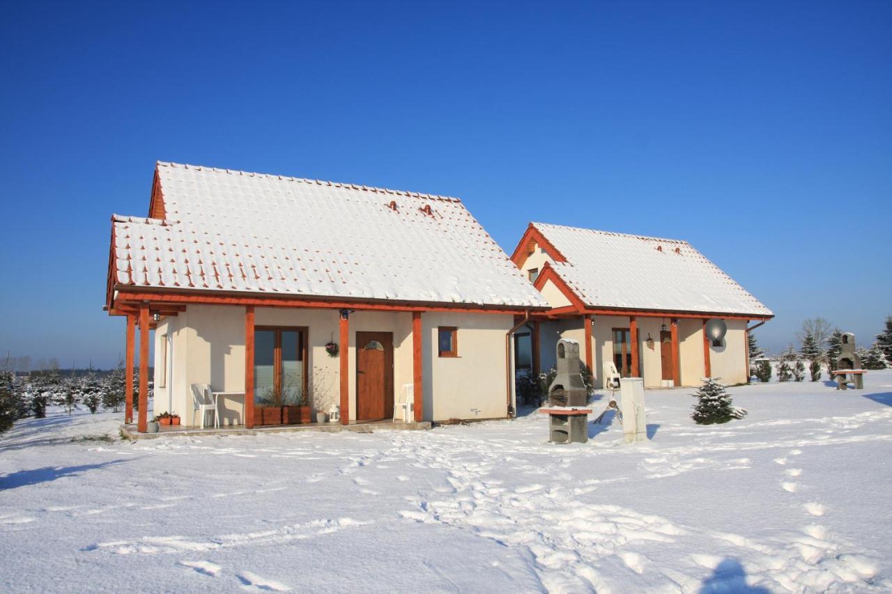 Wygodny Murowany Domek- Nowy Dabki Exterior photo