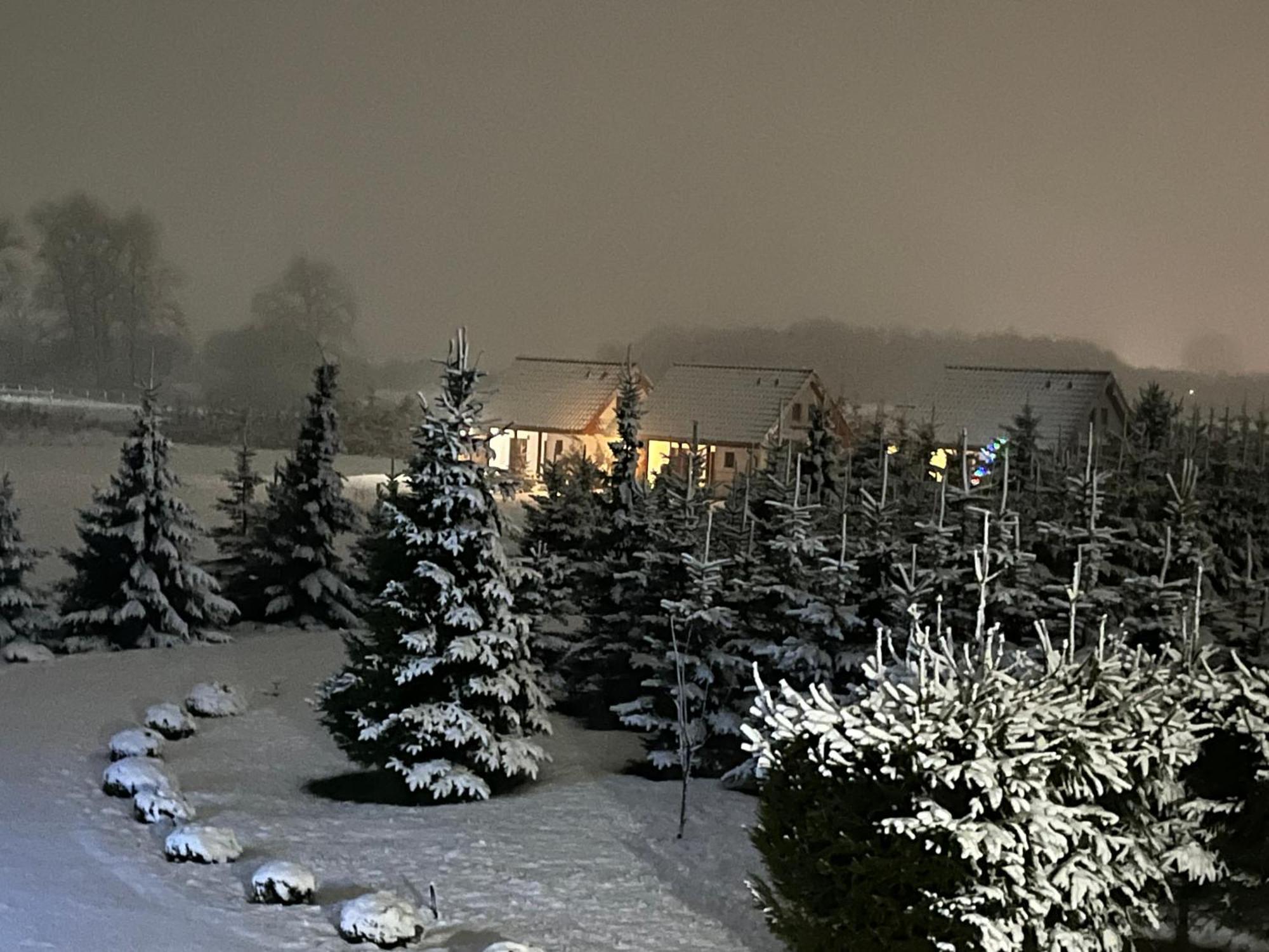 Wygodny Murowany Domek- Nowy Dabki Exterior photo
