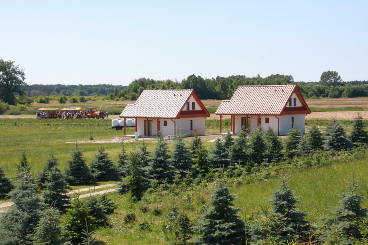 Wygodny Murowany Domek- Nowy Dabki Exterior photo